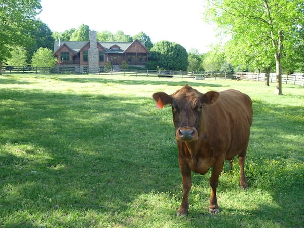 Mini Farm, Nolensville, LCT - Parks, home for sale