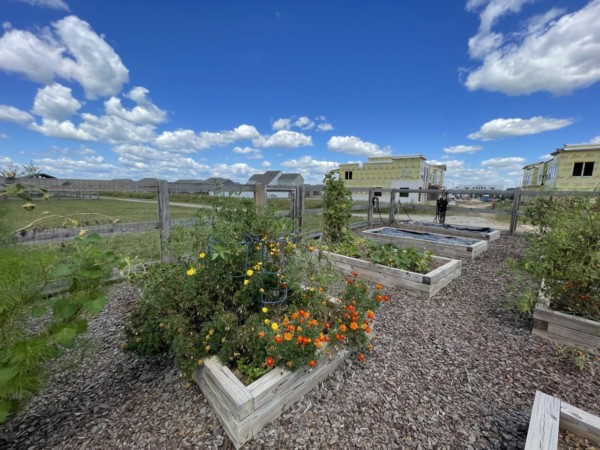 Harvest Point Community Garden, LCT Team - Parks