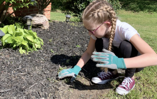 Megan Jones, LCT Team - Parks, Family, Work During Coronavirus