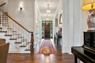 Reducing Stress On Pets When Selling Your Home, LCT Team - Parks